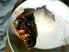 糖尿病食